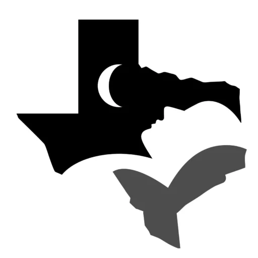 CPAP Alternatives in Houston